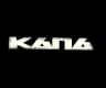MAX-канал КАПА