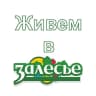 MAX-канал Живем в "Залесье"