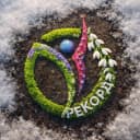Канал ДЮСШ "Рекорд" Новосибирский район в MAX