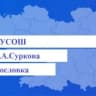 MAX-канал МОБУСОШ им. С.А. Суркова с. Богословка