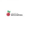 MAX-канал МБДОУ "ДС "Брусничка" г. Тарко-Сале