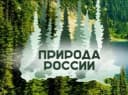 Канал Природа россии | Красоты россии | Фотографии природы | Пейзажи России в MAX