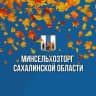 MAX-канал Министерство сельского хозяйства и торговли Сахалинской области