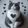Стикеры Котаны