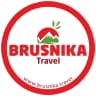 MAX-канал BRUSNIKA TRAVEL