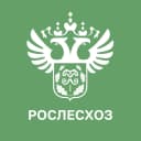 Канал Рослесхоз в MAX