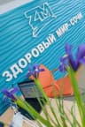 MAX-канал Туроператор "Здоровый мир-Сочи"