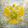 MAX-канал Харьковская ВГА. Новости