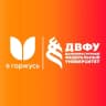 MAX-канал «Я горжусь» ДВФУ