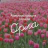 MAX-канал Администрация города Орла