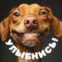 Канал УЛЫБНИСЬ! в MAX