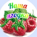 Канал МБДОУ ДС № 5 "Ягодка" в MAX
