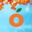 Канал Манго | оптово-розничный центр | ЛНР в MAX