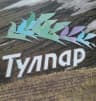 MAX-канал Тулпар журналы каналы
