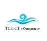 MAX-канал ТСН СТ «Фиолент»