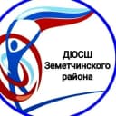Канал МАОУ ДО ДЮСШ Земетчинского района в MAX