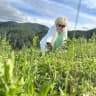 MAX-канал Раздрогина 🌿🌱 Дариэла
