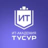 MAX-канал ИТ-Академия ТУСУР