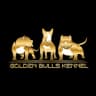 MAX-канал ⚜️Golden Bulls Kennel⚜️ Американский Булли, Миниатюрный Бультерьр