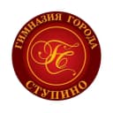Канал Гимназия города Ступино в MAX