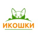 Канал Икошки в MAX