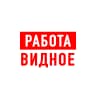 MAX-канал Работа в Видном