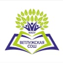 Канал МАОУ Ветлужская СОШ в MAX