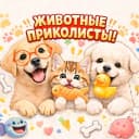 Канал Животные приколисты в MAX
